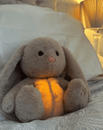 Glow Buddy The Soothing Plush